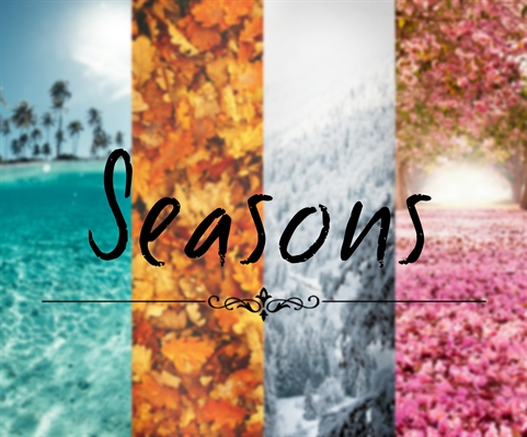 Fanfic / Fanfiction Seasons