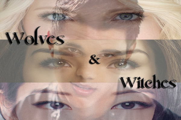 Fanfic / Fanfiction Wolves and Witches