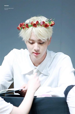 Fanfic / Fanfiction Aconteceu! Estou apaixonada por Kim Seokjin! (Imagine Jin)