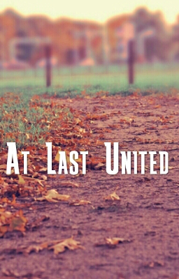 Fanfic / Fanfiction At last united