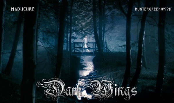 Fanfic / Fanfiction Dark Wings