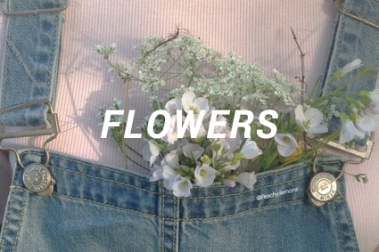 Fanfic / Fanfiction Flowers