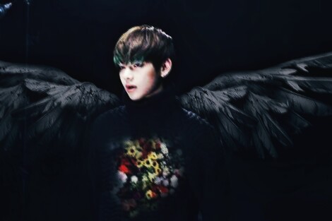 Fanfic / Fanfiction If my heart had wings.