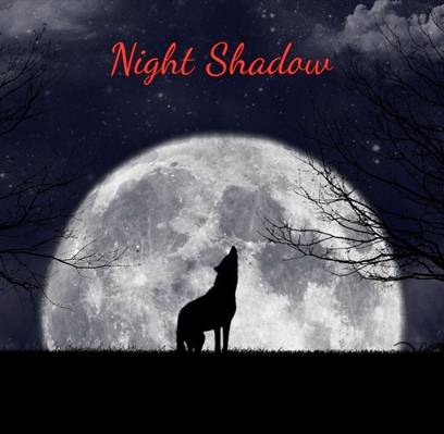 Fanfic / Fanfiction Night Shadow