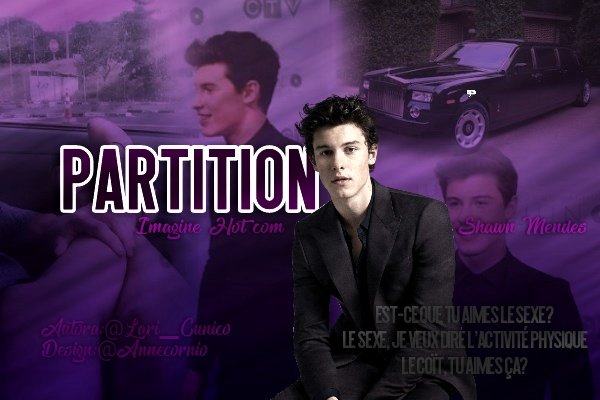 Fanfic / Fanfiction Partition (Imagine Hot com Shawn Mendes)