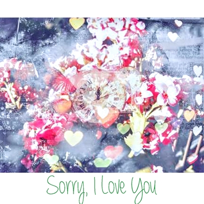 Fanfic / Fanfiction Sorry, I Love You - Imagine S.Coups