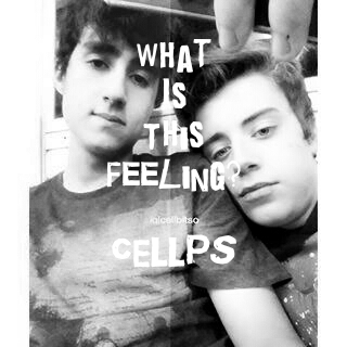 Fanfic / Fanfiction What Is This Feeling? ~ CELLPS