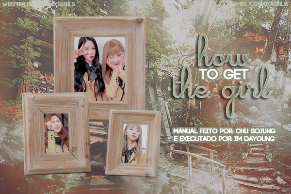 Fanfic / Fanfiction How To Get The Girl