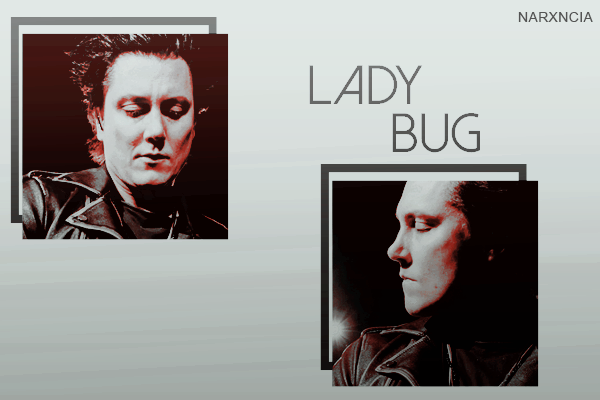 Fanfic / Fanfiction Ladybug