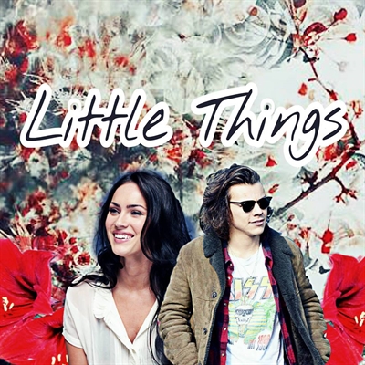 Fanfic / Fanfiction Little Things - Harry Styles Fanfic