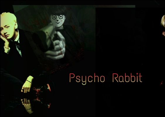 Fanfic / Fanfiction Psycho Rabbit