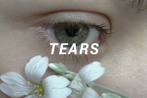 Fanfic / Fanfiction Tears
