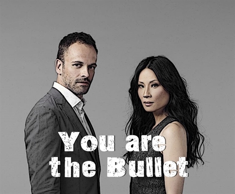 Fanfic / Fanfiction You are the Bullet