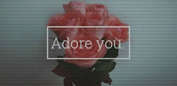 Fanfic / Fanfiction Adore You