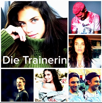 Fanfic / Fanfiction Die Trainerin