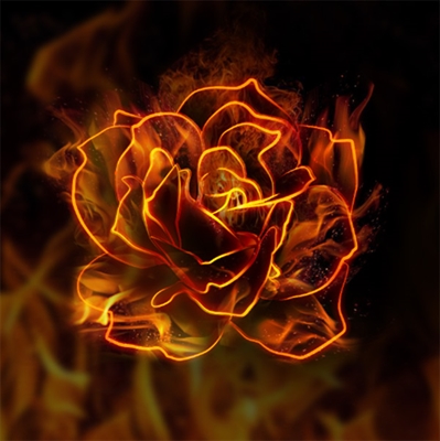 Fanfic / Fanfiction Fire Flower