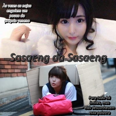 Fanfic / Fanfiction Sasaeng da Sasaeng (Reescrevendo)
