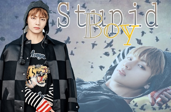 Fanfic / Fanfiction Stupid Boy - BTS(Hiatos)