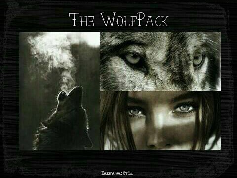 Fanfic / Fanfiction The WolfPack