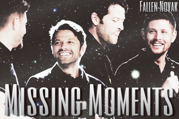 Fanfic / Fanfiction Missing Moments