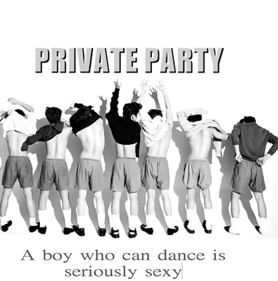 Fanfic / Fanfiction Private Party