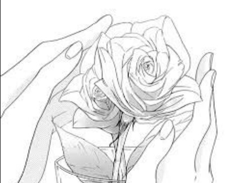Fanfic / Fanfiction White Rose
