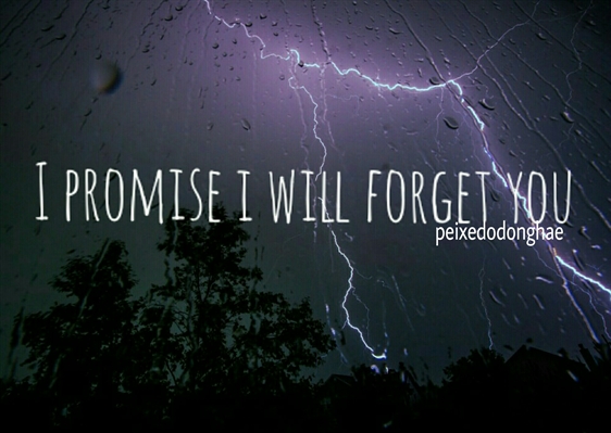 Fanfic / Fanfiction I promise i will forget you