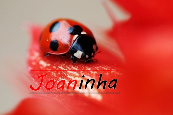 Fanfic / Fanfiction Joaninha