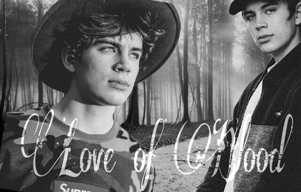 Fanfic / Fanfiction Love of Blood - Hayes Grier