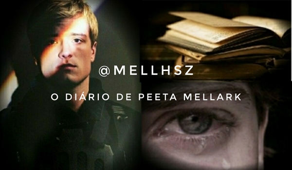Fanfic / Fanfiction O diario de Peeta Mellark