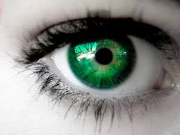Fanfic / Fanfiction Olhos verdes como Jade