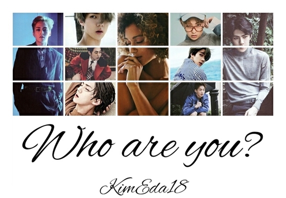 Fanfic / Fanfiction Who Are You?