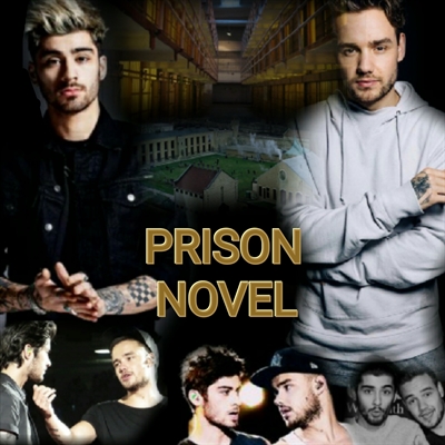 Fanfic / Fanfiction Prison Novel