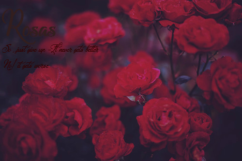 Fanfic / Fanfiction Rosas