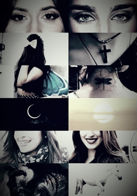 Fanfic / Fanfiction Sorry For Being Stupid (SFBS) - Camren