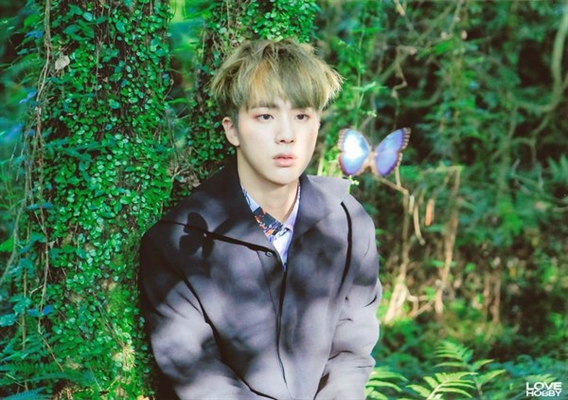 Fanfic / Fanfiction Sour Butterfly - Imagine Jin