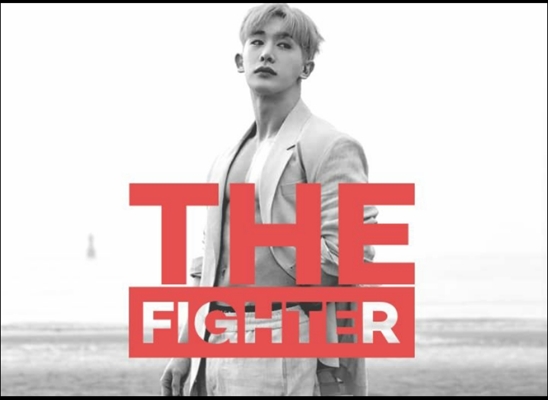 Fanfic / Fanfiction The Fighter