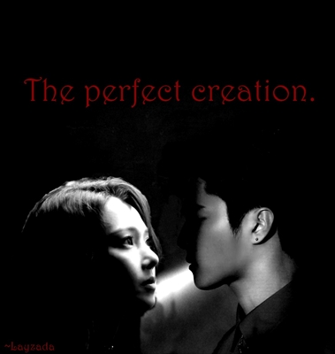 Fanfic / Fanfiction The Perfect Creation - KARD