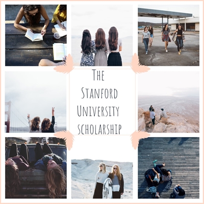 Fanfic / Fanfiction The Stanford university scholarship