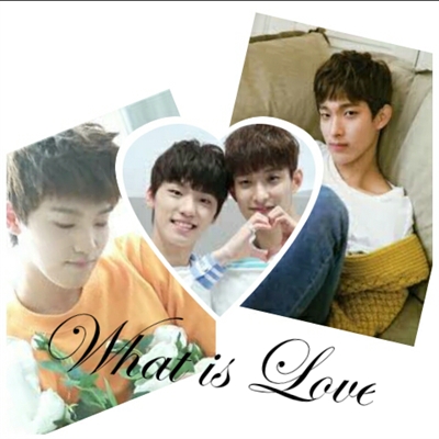 Fanfic / Fanfiction ~What is Love~