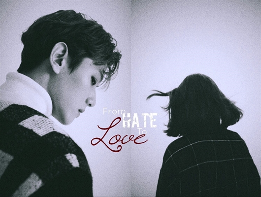 Fanfic / Fanfiction From Hate to Love