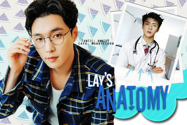 Fanfic / Fanfiction Lay's Anatomy
