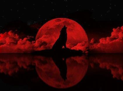 Fanfic / Fanfiction "Lua de sangue"