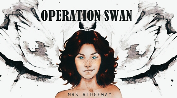 Fanfic / Fanfiction Operation Swan