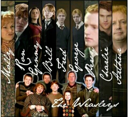 Fanfic / Fanfiction Os Weasley's, a história