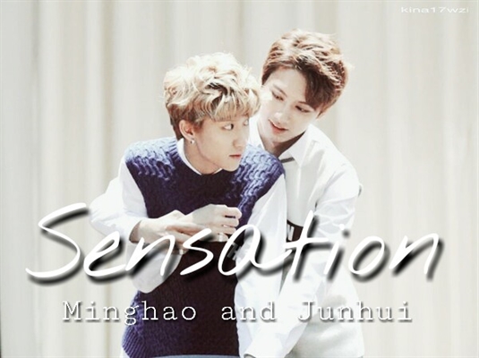 Fanfic / Fanfiction Sensation - (Minghao (The8) and Junhui (Jun) imagine)