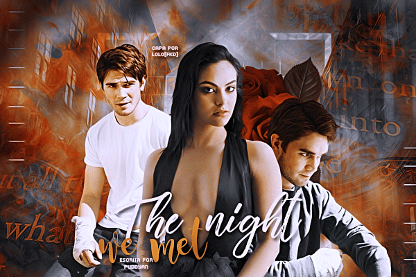 Fanfic / Fanfiction The Night We Met