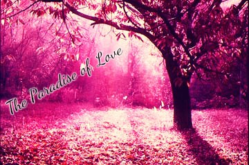 Fanfic / Fanfiction The Paradise of Love