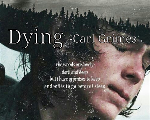 Fanfic / Fanfiction DYING || Let Me Sleep At Last - Carl Grimes