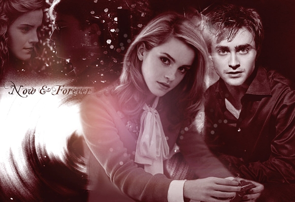 Fanfic / Fanfiction Harry And Hermione-Now Or Never